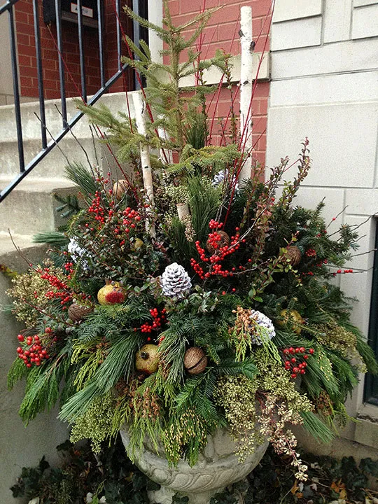 20 BEAUTIFUL WINTER PLANTER IDEAS story