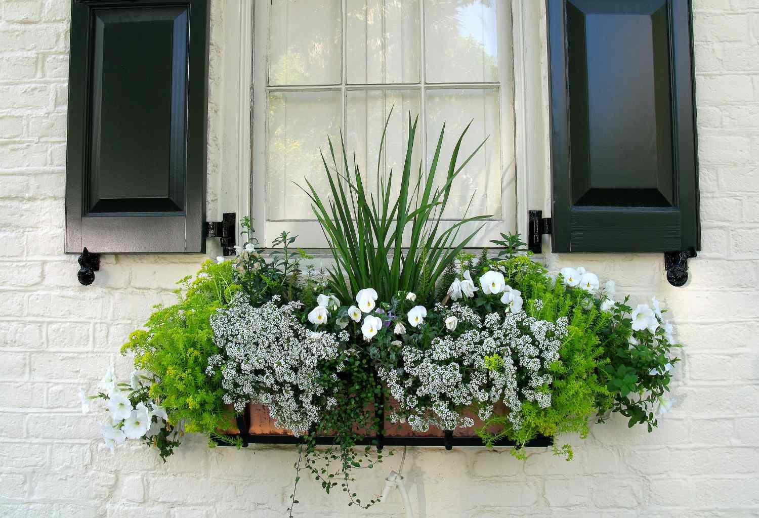 22 Window Box Ideas for Colorful Flowers