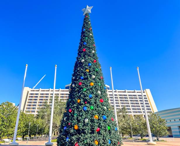 3 MASSIVE Additions Just Arrived at Disney's Polynesian, Contemporary, and  Grand Floridian Hotels - AllEars.Net
