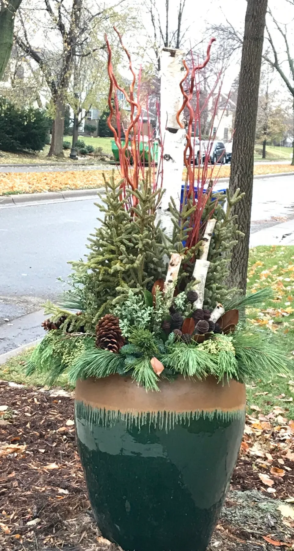 4 Steps for Making Holiday Containers - Minnesota Grown