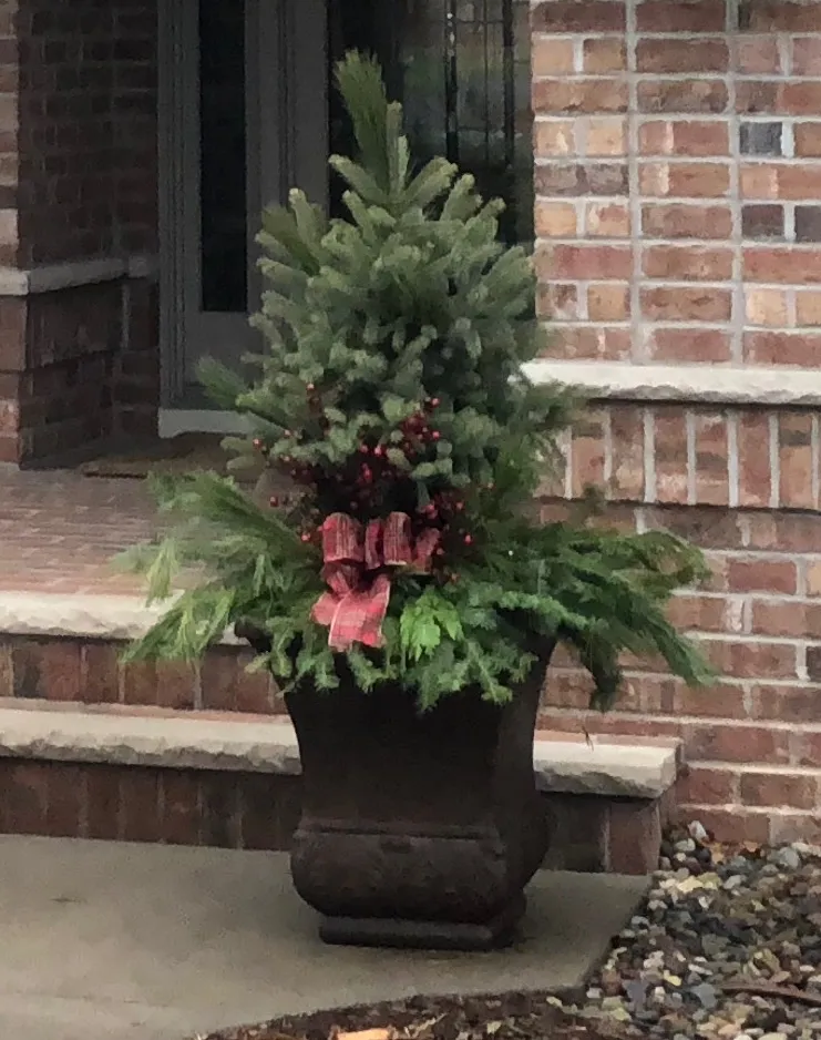 4 Steps for Making Holiday Containers - Minnesota Grown