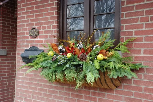 8 Festive Ideas for Winter Container Gardens