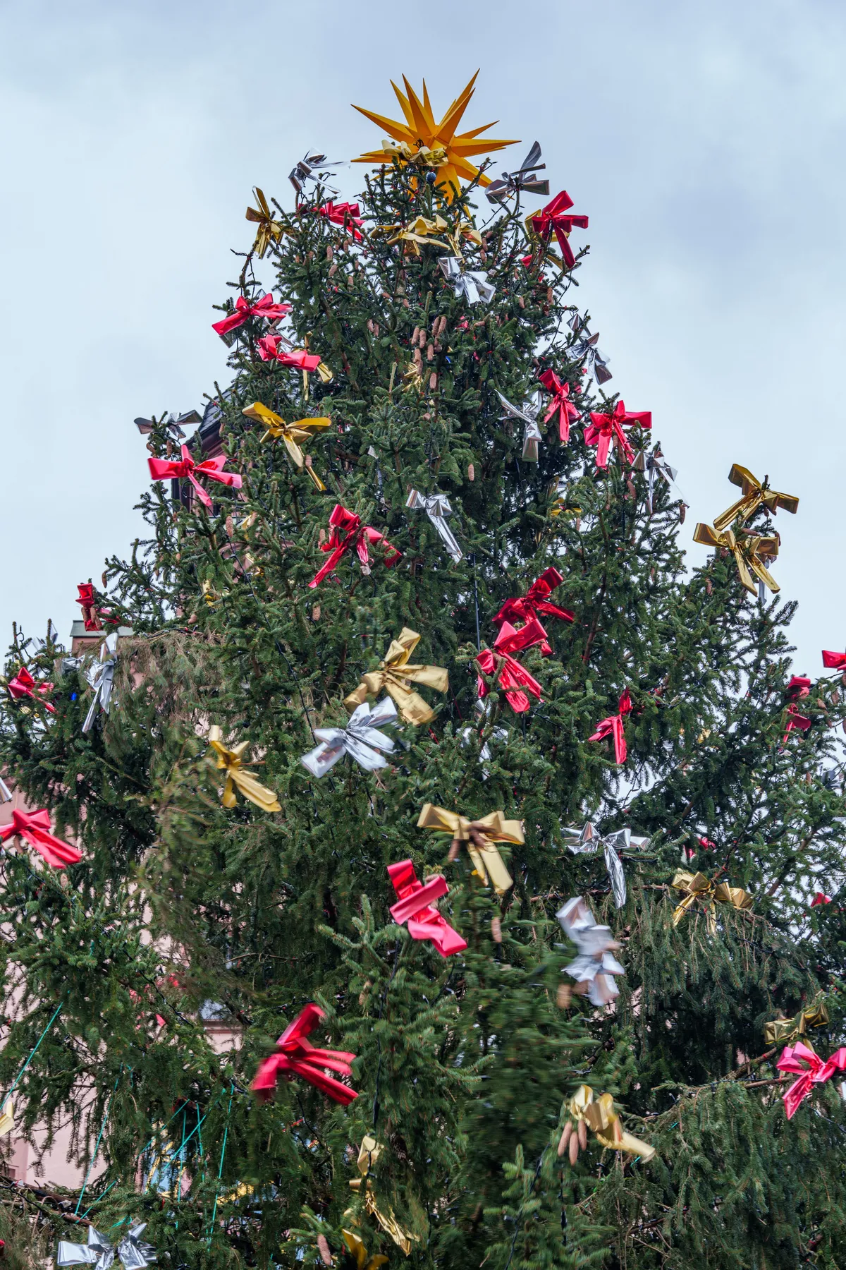 A beautiful Christmas tree adorned with red, gold, and silver bows set against a cloudy sky.
