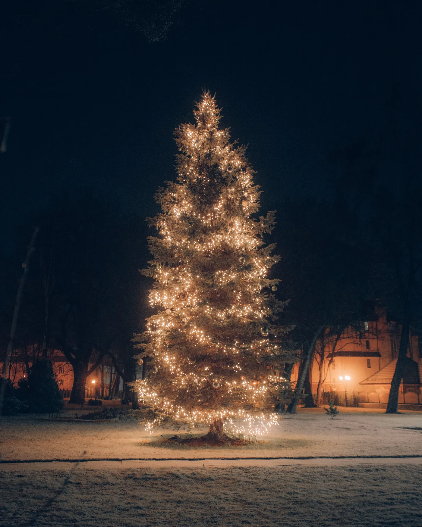 A beautifully lit Christmas tree stands amidst a snowy park at night, creating a festive atmosphere.