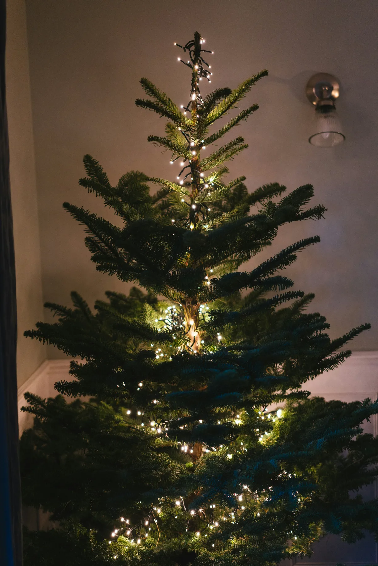 A christmas tree is lit up in a room