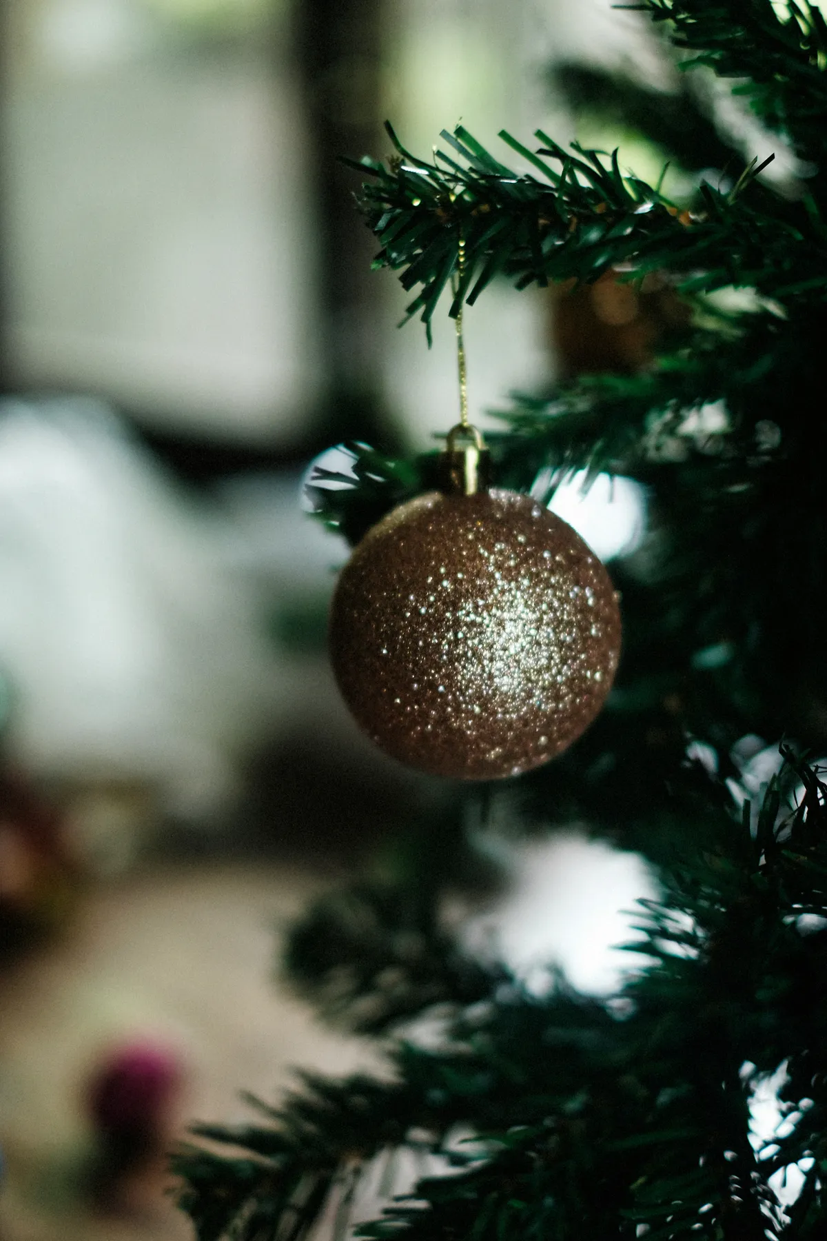 A christmas tree ornament hangs from a branch