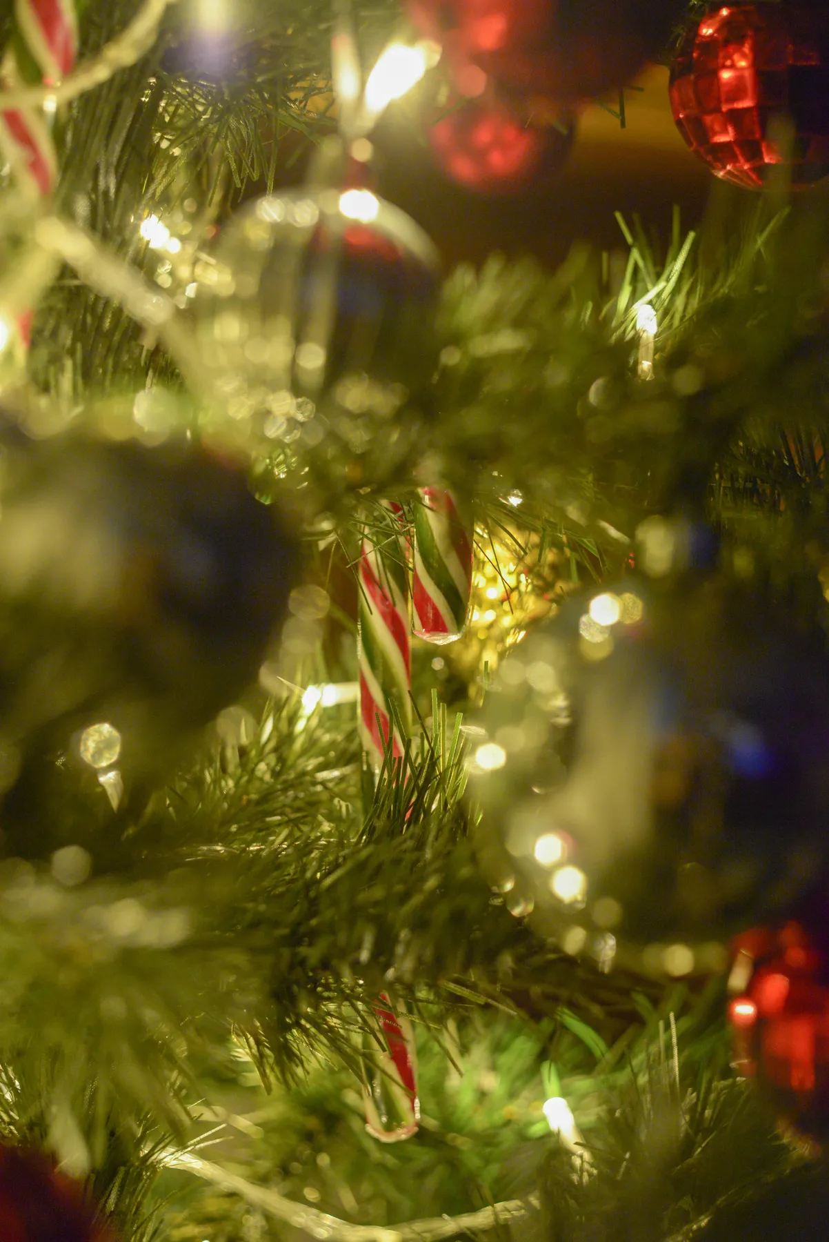 a christmas tree with lights
