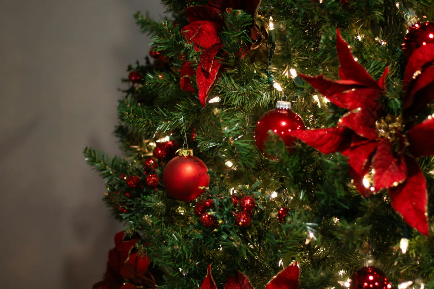 A close-up of a Christmas tree decked out in festive red ornaments, poinsettias, and glowing string lights.