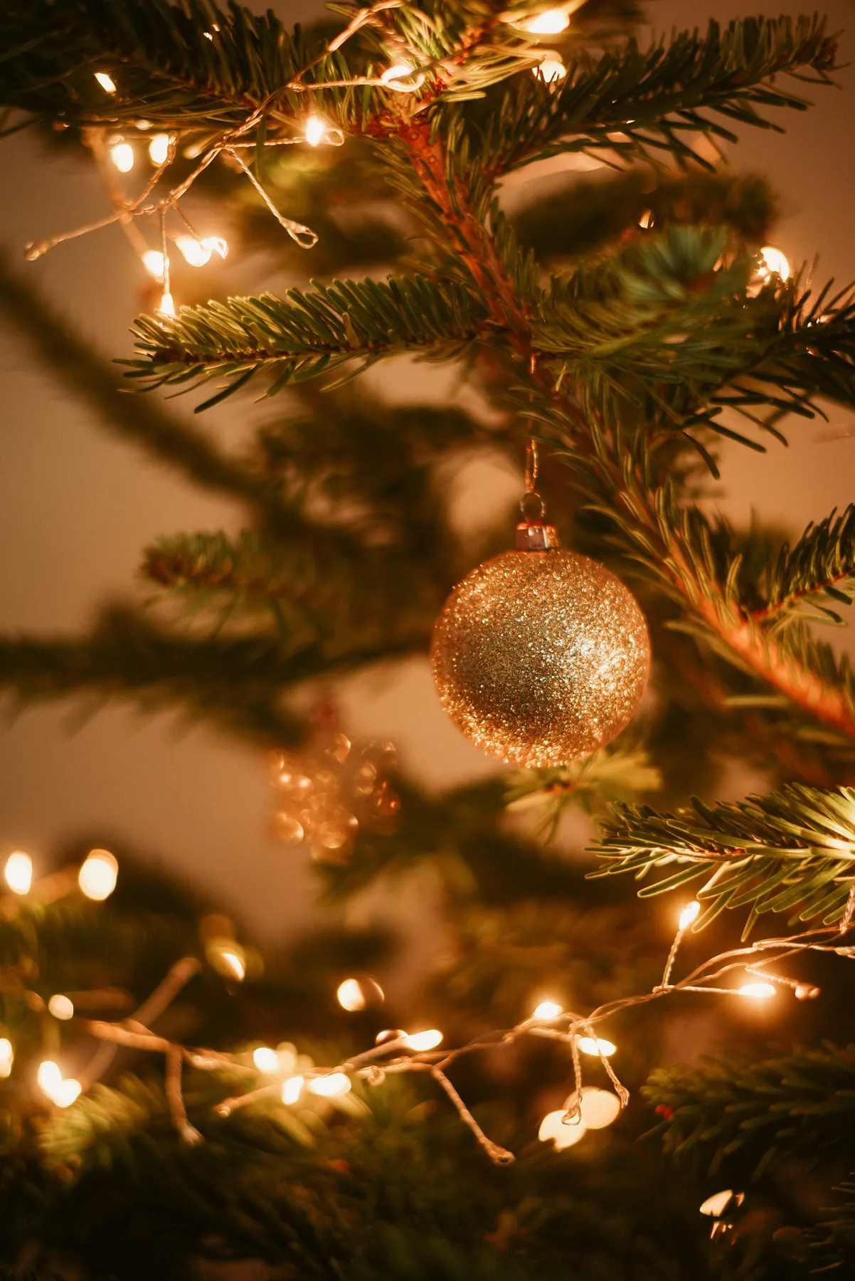 A close up of a christmas tree with lights - Free Photo on Unsplash