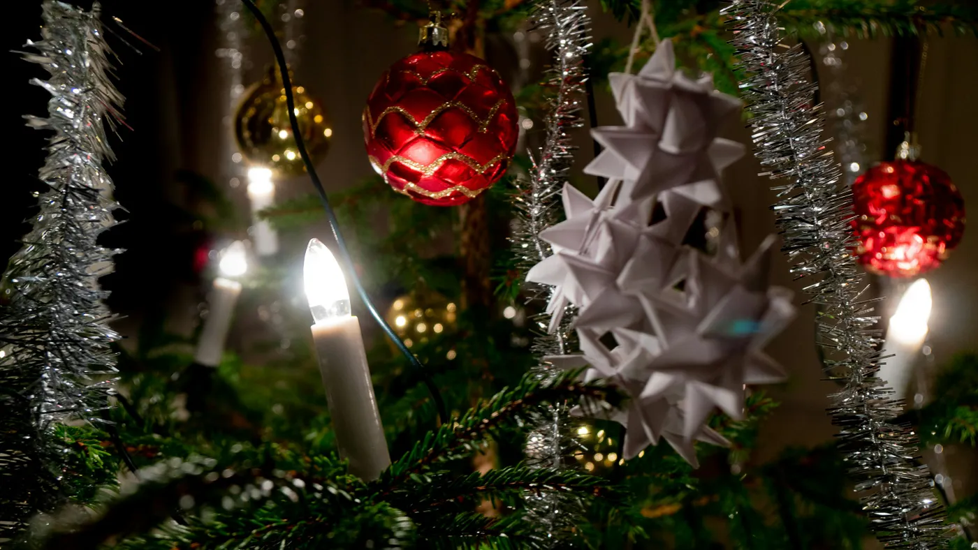 A close up of a christmas tree with ornaments - Free Photo on Unsplash