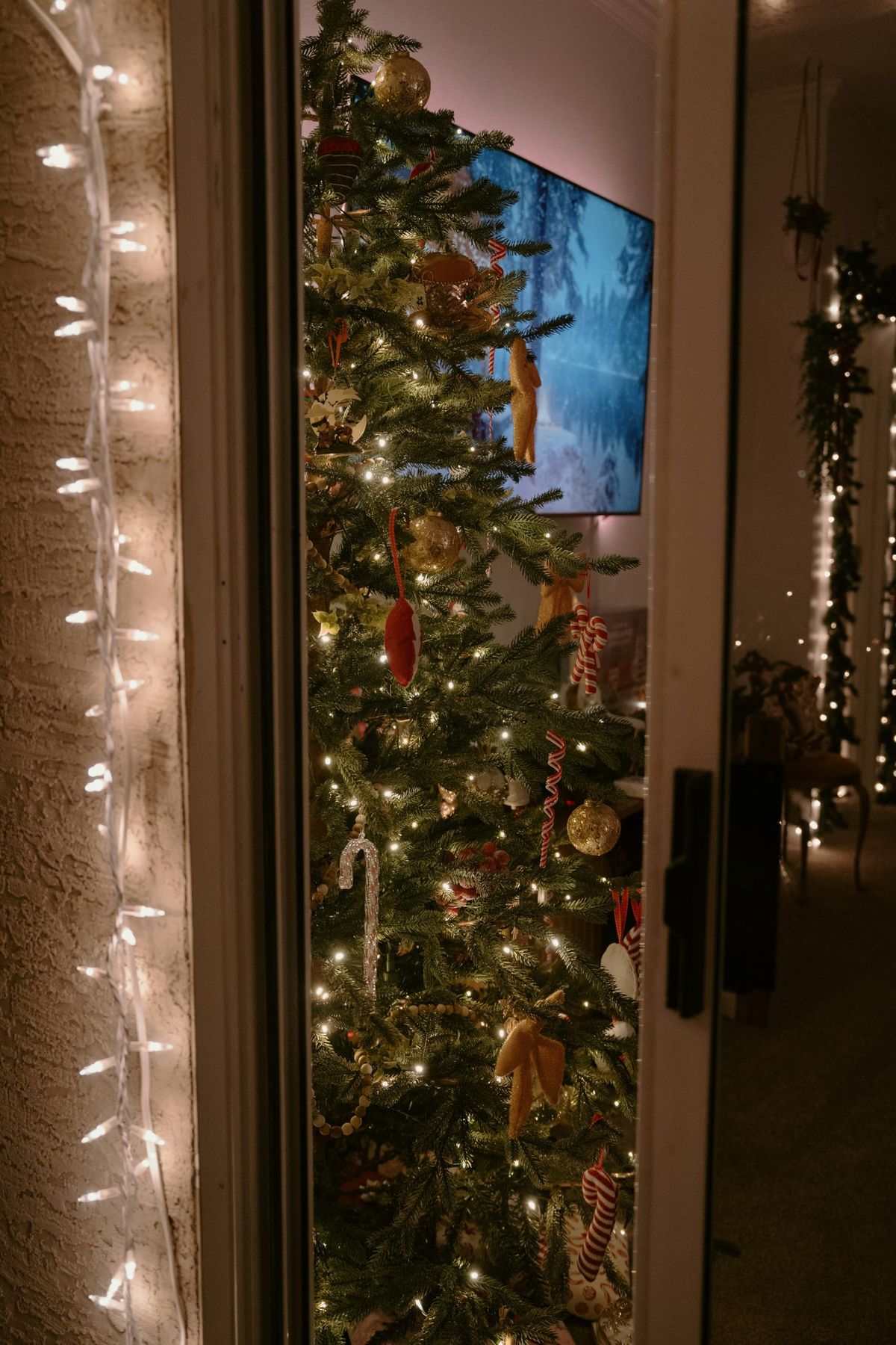 A decorated christmas tree with lights indoors