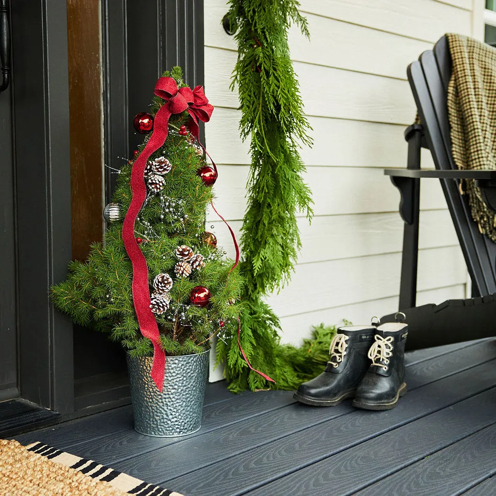 A Little Mini Christmas Tree Luxury for the Holidays: The Real Mini Ch – Lynch Creek Farm