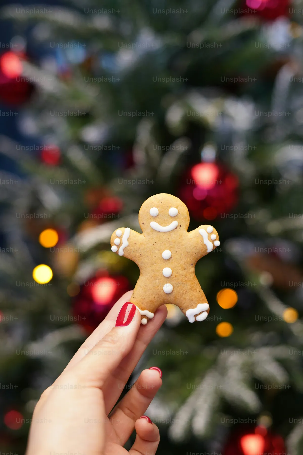 A person holding a small ginger in front of a christmas tree - Photo on  Unsplash+
