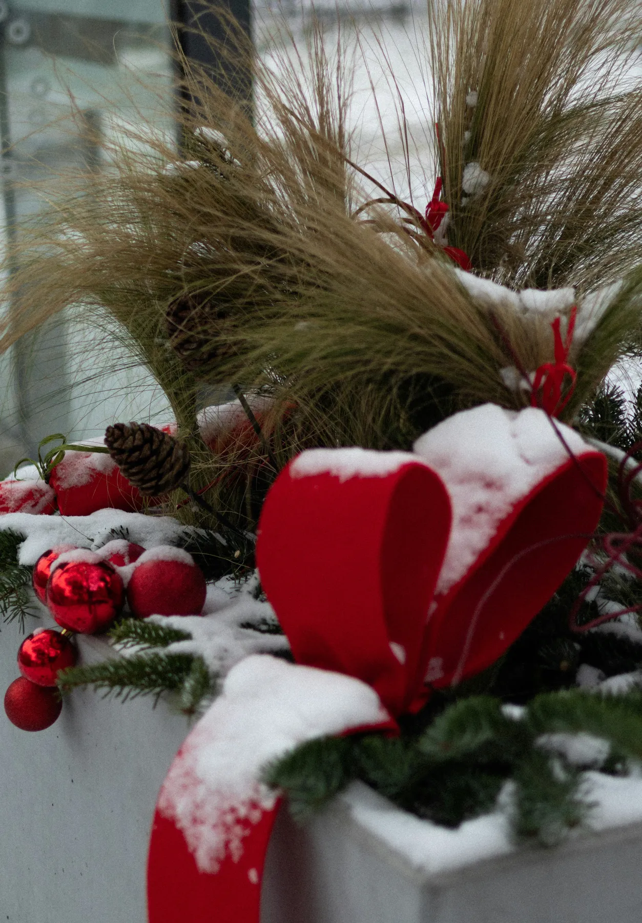 a planter filled with lots of snow covered plants