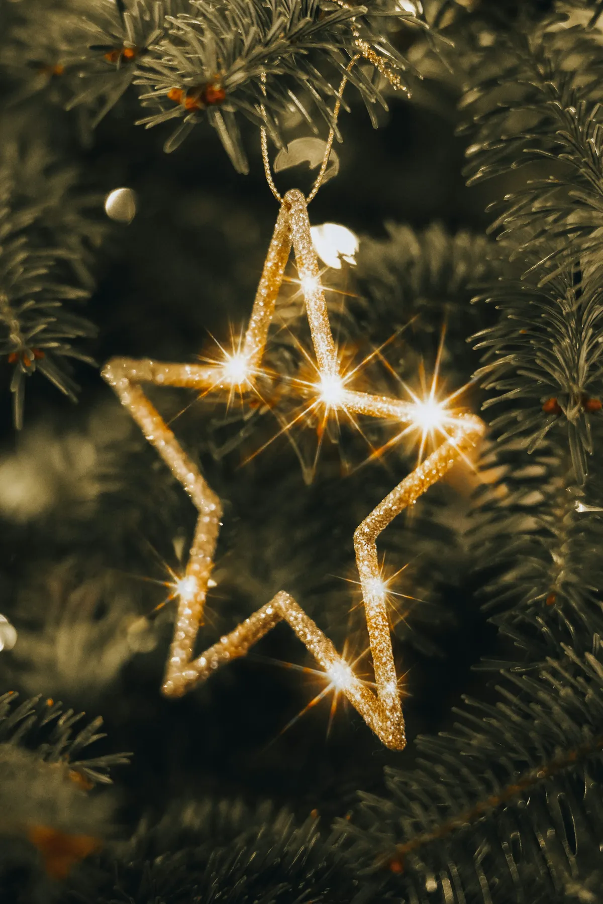 A sparkly golden star ornament on a christmas tree - Free Photo on Unsplash
