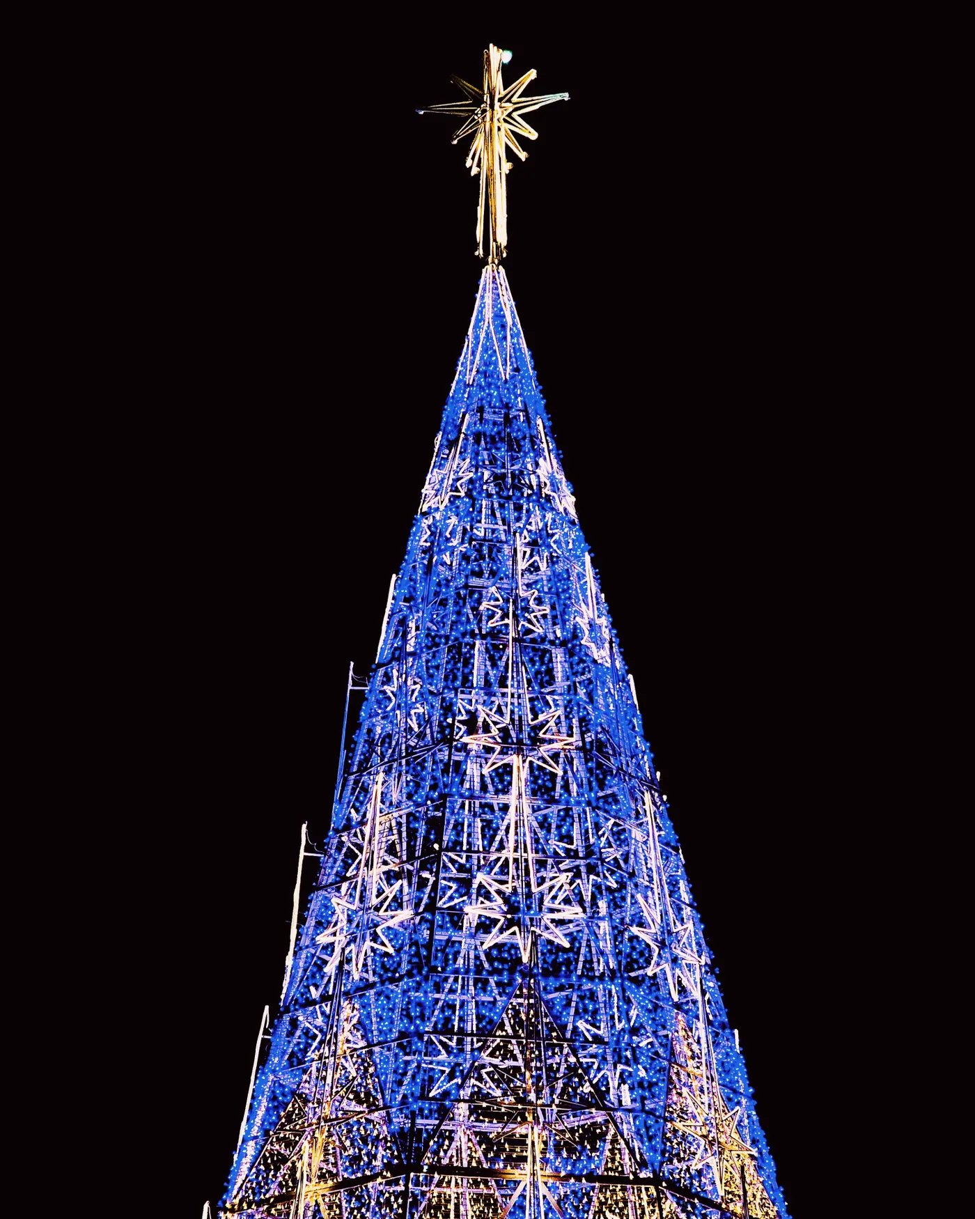 A vibrant, illuminated Christmas tree with a bright star topper against a night sky.