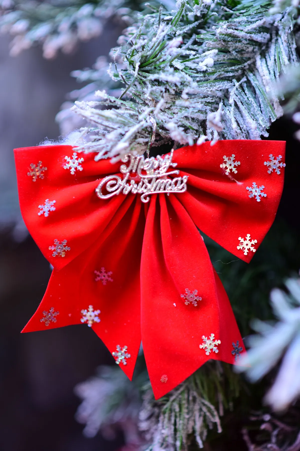 A vibrant red Christmas bow with snowflakes on a snowy pine branch, conveying holiday spirit.