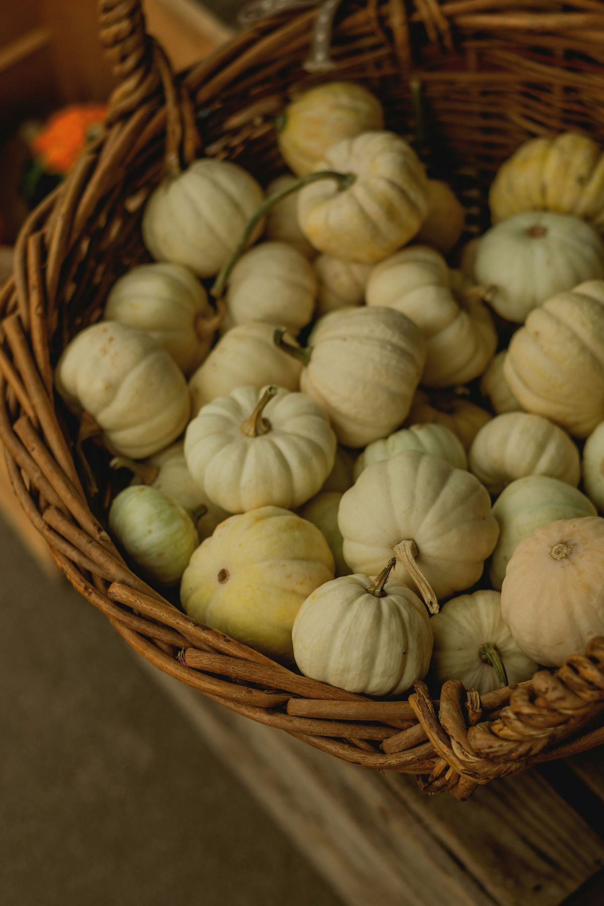 A woven basket filled with small white pumpkins