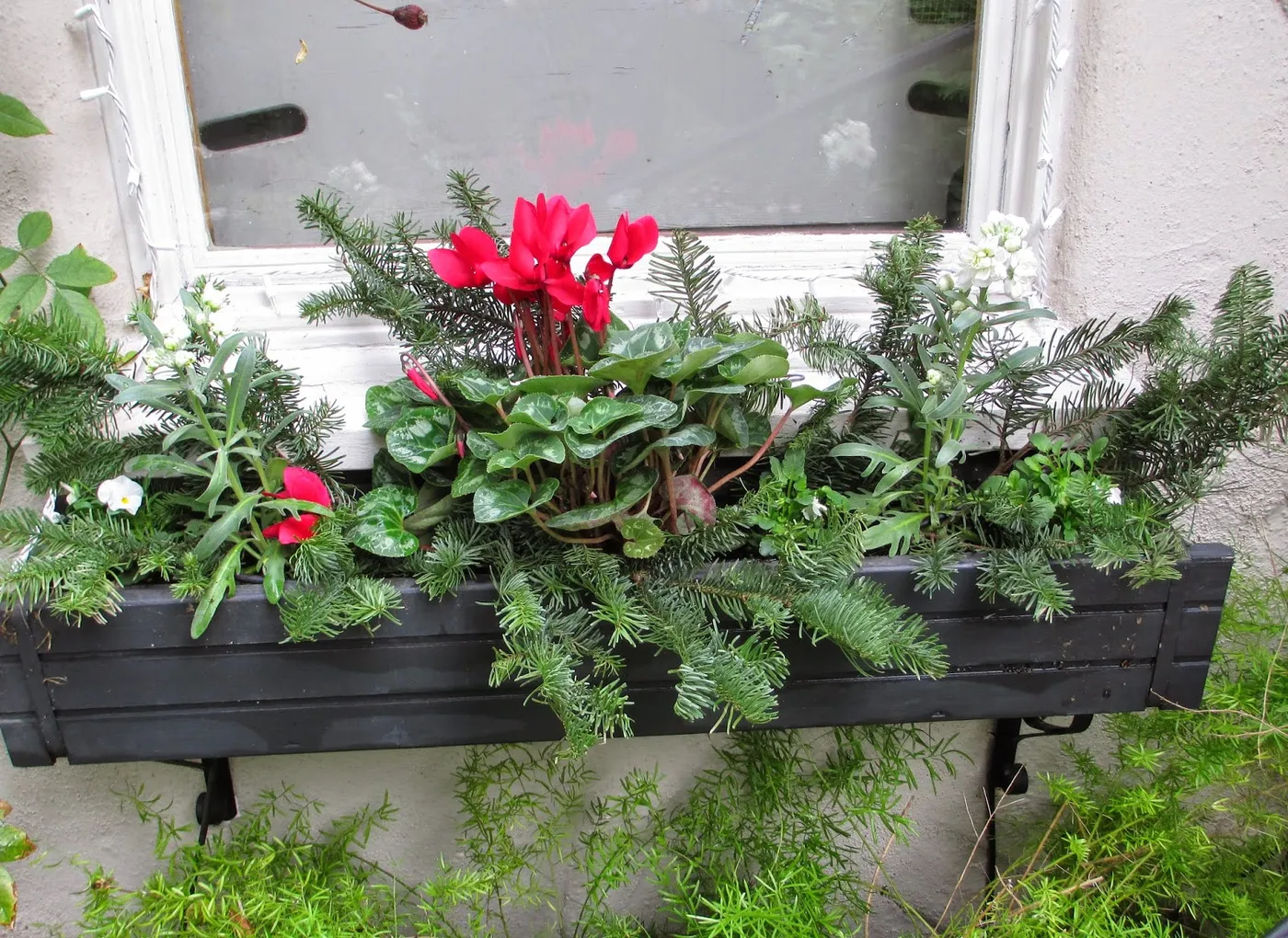 Andie's Way: Quick Window Boxes for Christmas