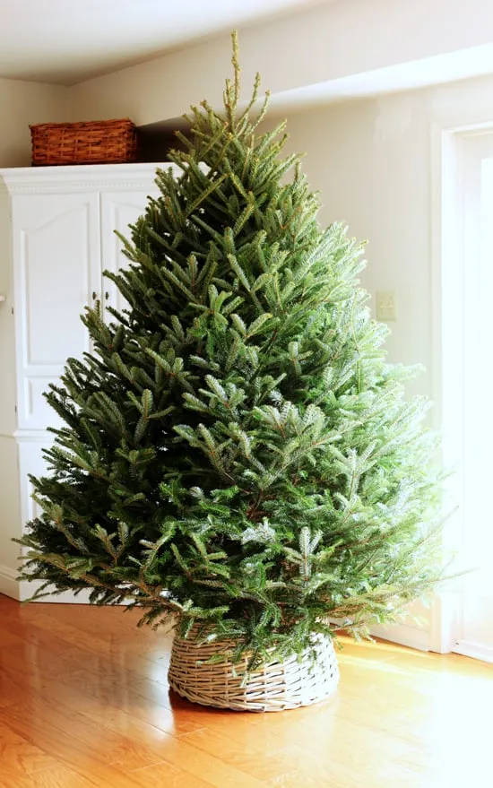 Artificial Christmas Large Christmas Tree Stands Skirts DIY: Basket  Christmas Tree Collar In My Own Style