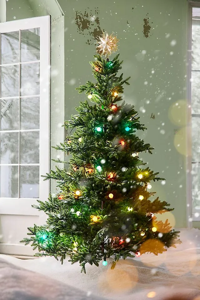 Artificial Norway Spruce Tree | Terrain