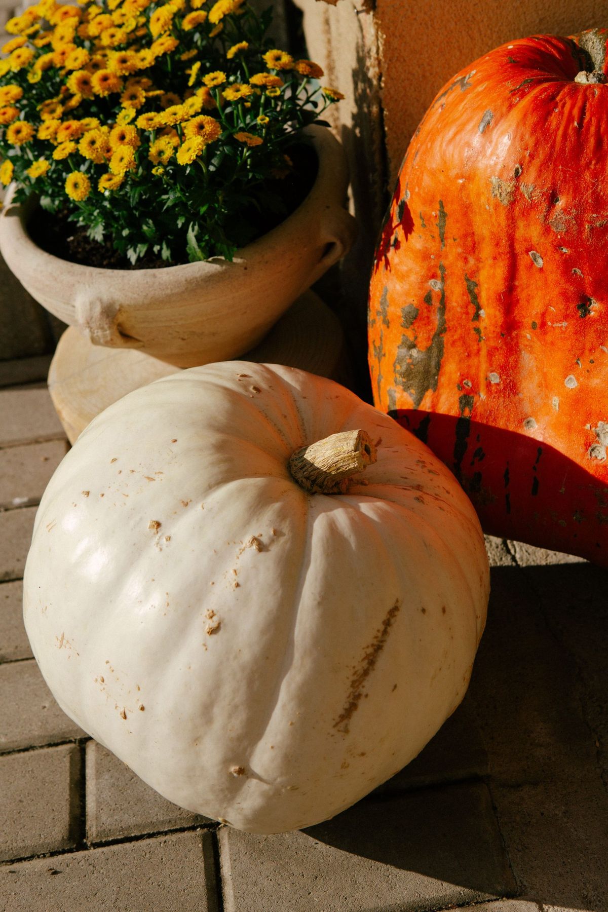 Autumn scene with white and orange pumpkins next to bright yellow flowers.
