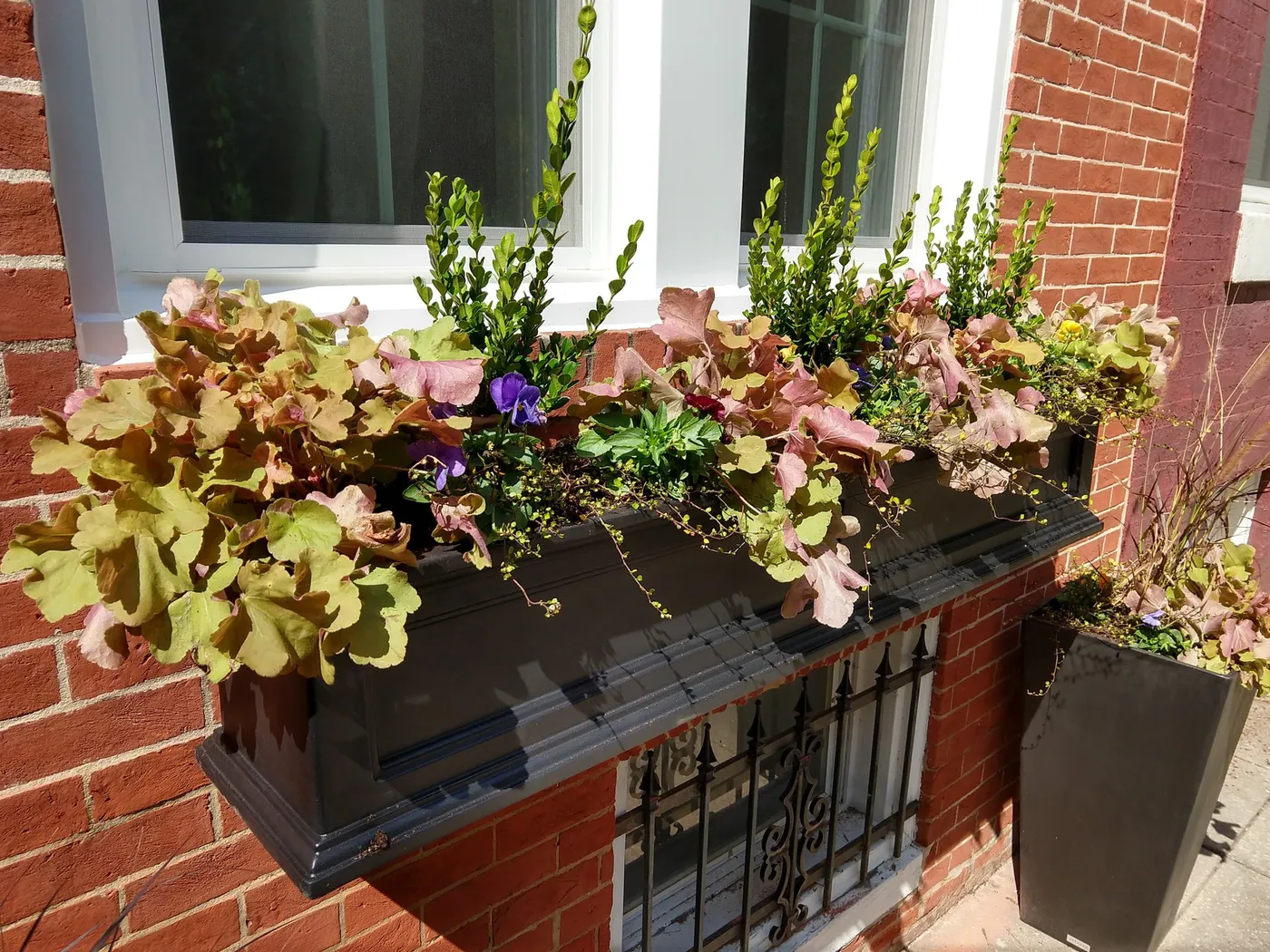 Baltimore Fall Container Gardens - Landscape Design, Installation,  Maintenance and Native Plant Nursery | Lauren's Garden Service