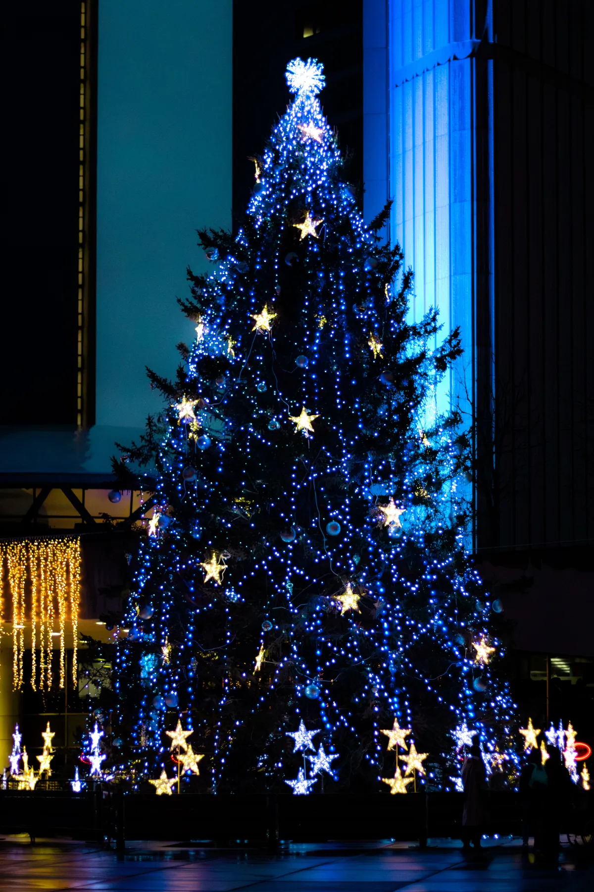 Beautifully lit Christmas tree in downtown Toronto adorned with blue and white lights.
