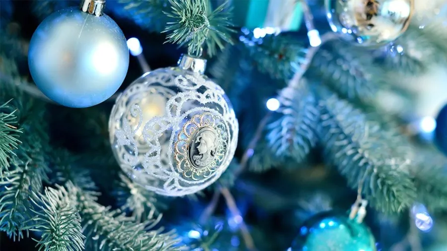Best blue Christmas tree – FOX21 News Colorado