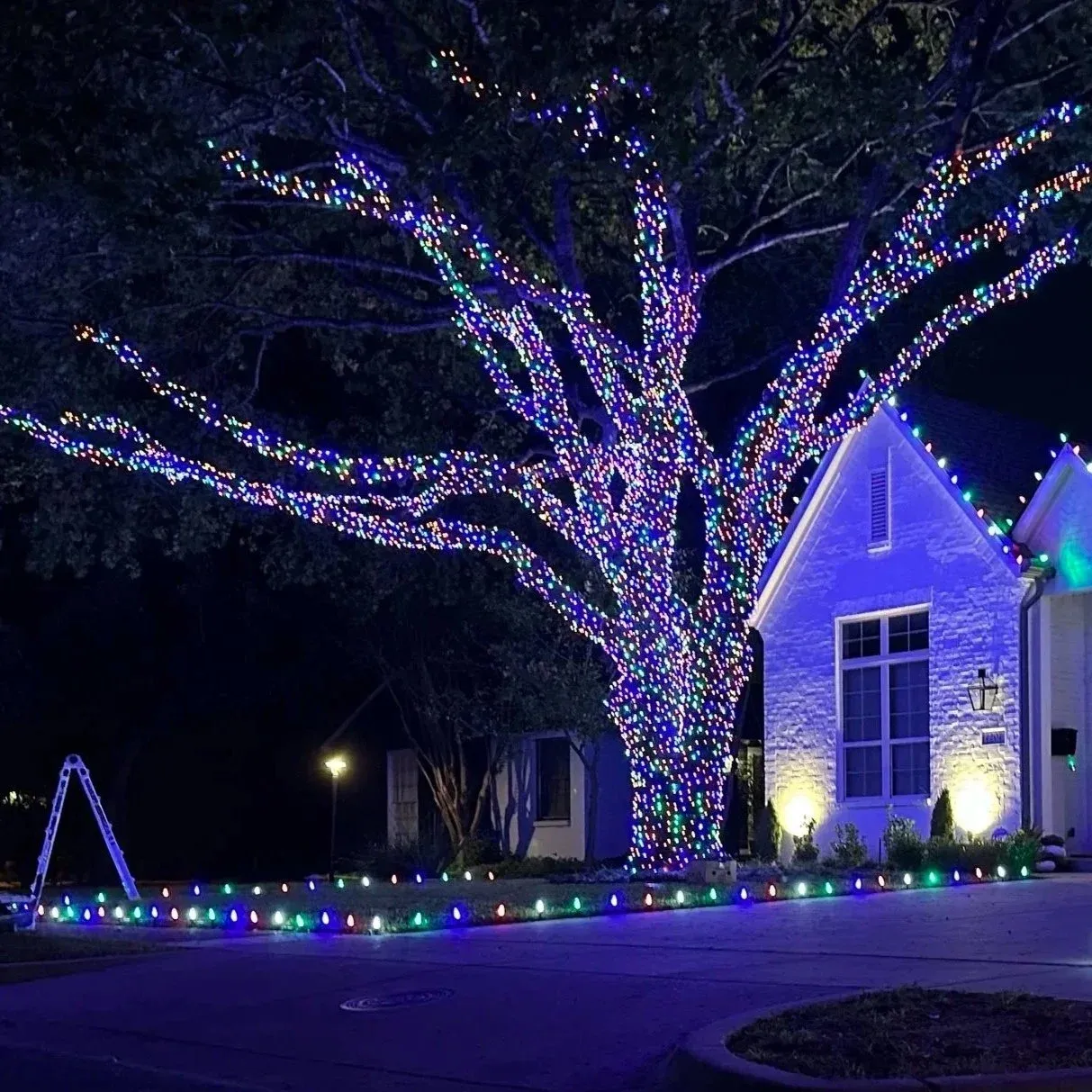 Best Color-Changing Christmas Lights 2026: Govee, Color Fusion & More