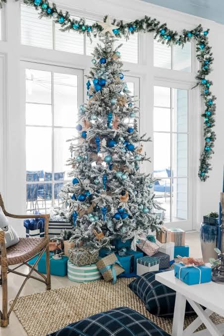 Best Living Christmas Tree Types | HGTV