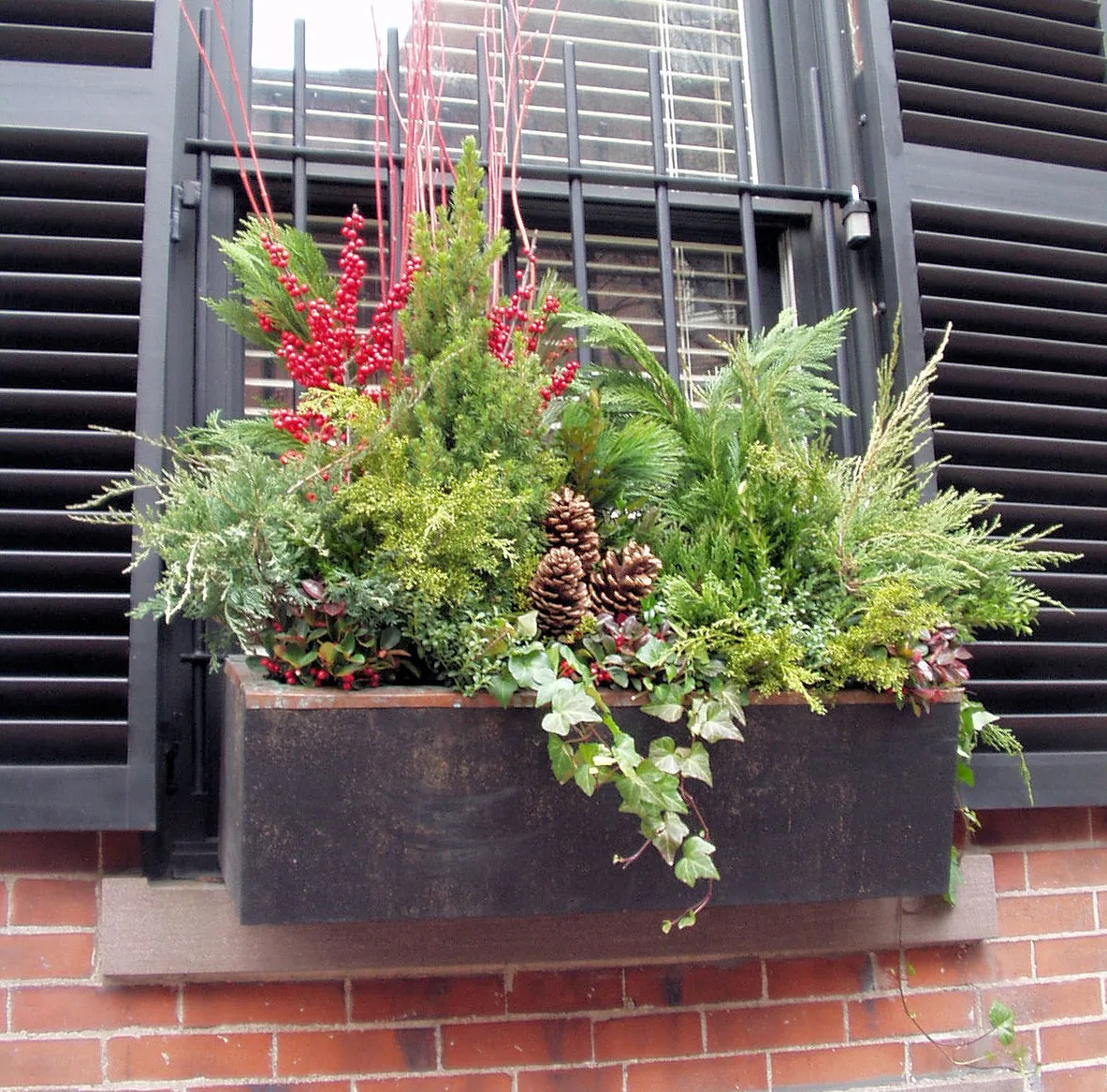 BOXWOOD TERRACE: Beacon Hill Decorates for Christmas