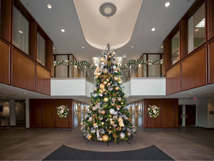 Business Holiday Lighting in Holbrook, NY | Emerald Magic