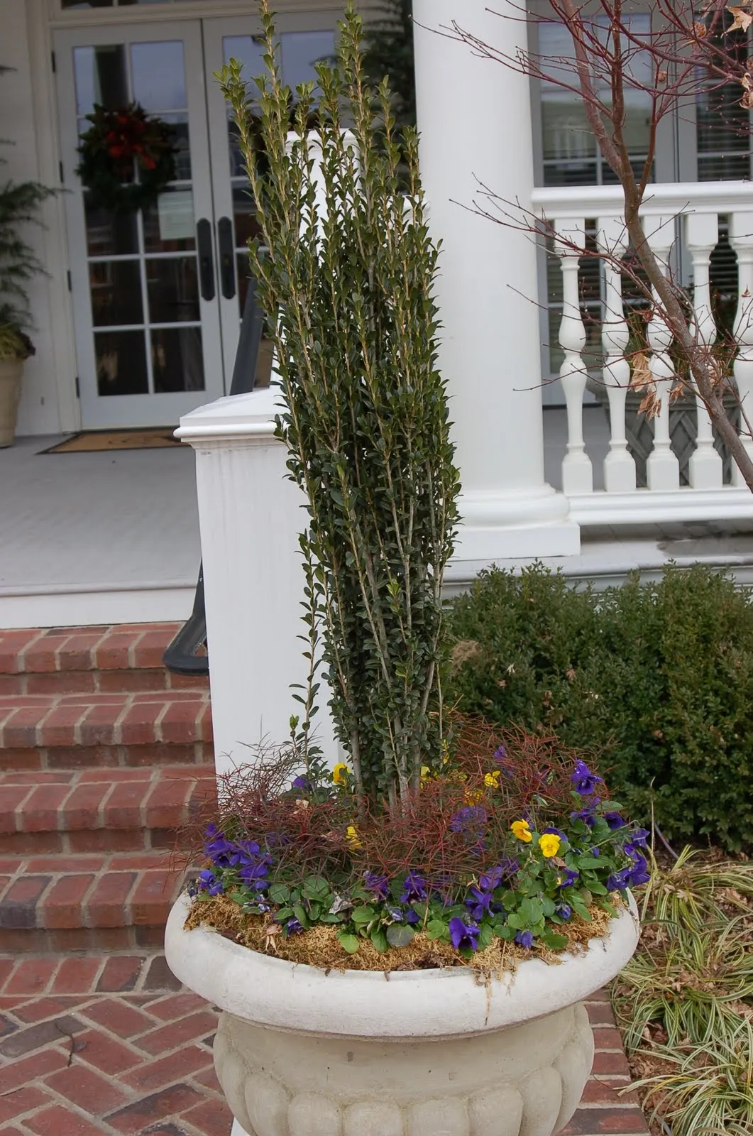 bwisegardening: Day 9 - One Container; So Many Different Ways to Plant