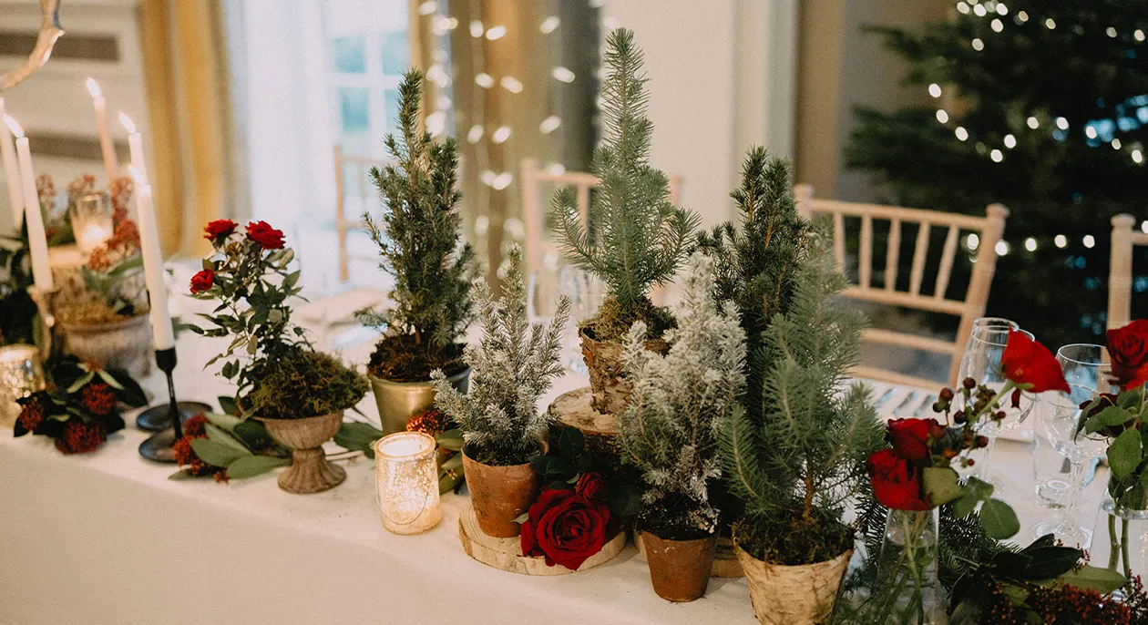 Charlotte and Jonathan's Wedding at Rudding Park captured by Paul Liddement  Photography