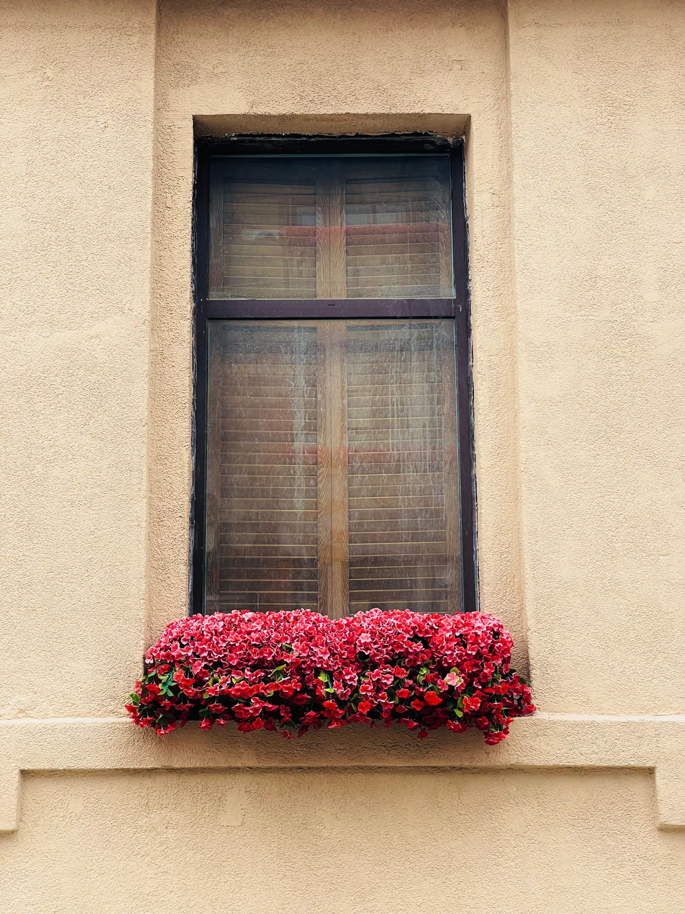 Charming window with colorful flower box against a beige wall.