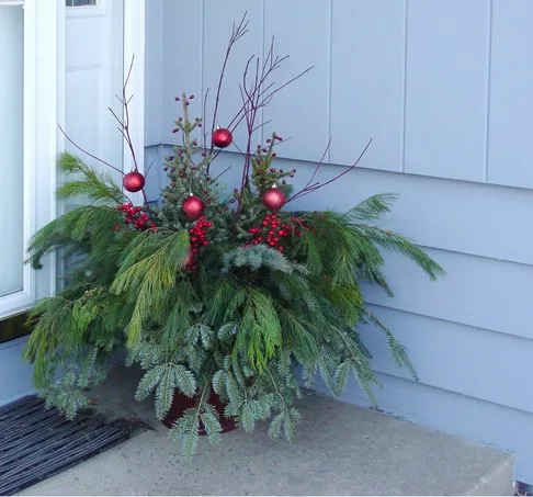 Christmas Decorations | Genie in the Garden