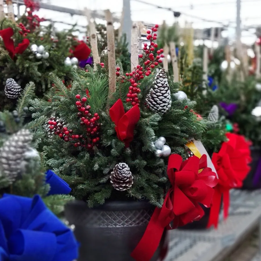 Christmas – Fresh Greens | Leading Garden Center in Farmington Hills, MI