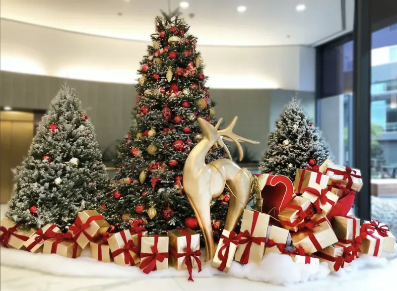 Christmas In July At Good Earth Plant Company: Get Into The Holiday Spirit With Us - Good Earth Plants