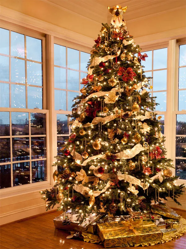 Christmas Reflections Printed Photography Backdrop - Denny Mfg