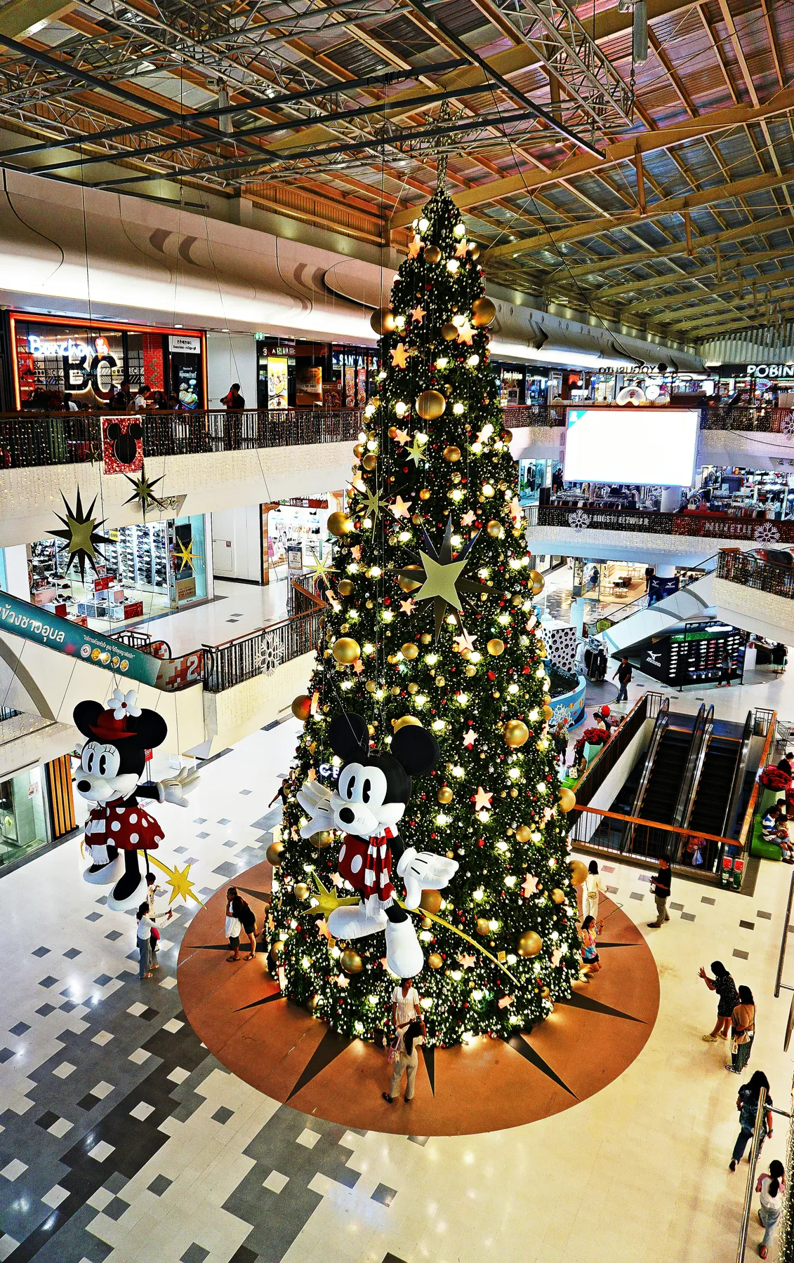 Christmas tree.