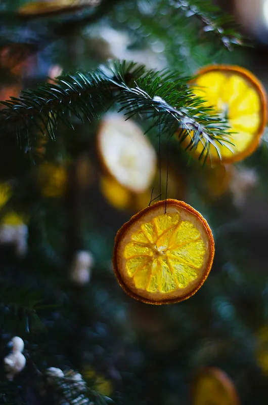 Christmas Tree Decorated With Dried Oranges, Popcorn, and a Cinnamon Star |  Juliette Laura