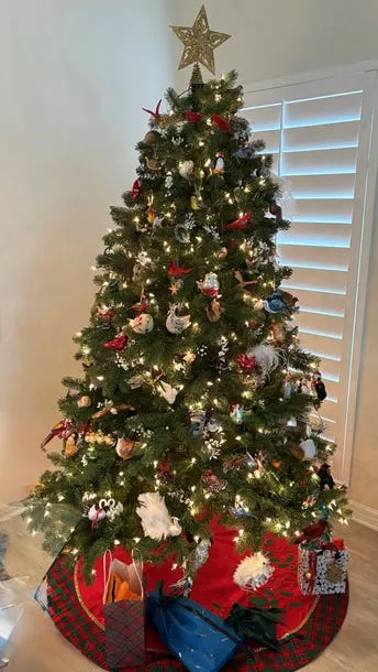 Christmas tree photos in Naples, Fort Myers, Cape Coral, Florida