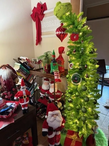 Christmas tree photos in Naples, Fort Myers, Cape Coral, Florida