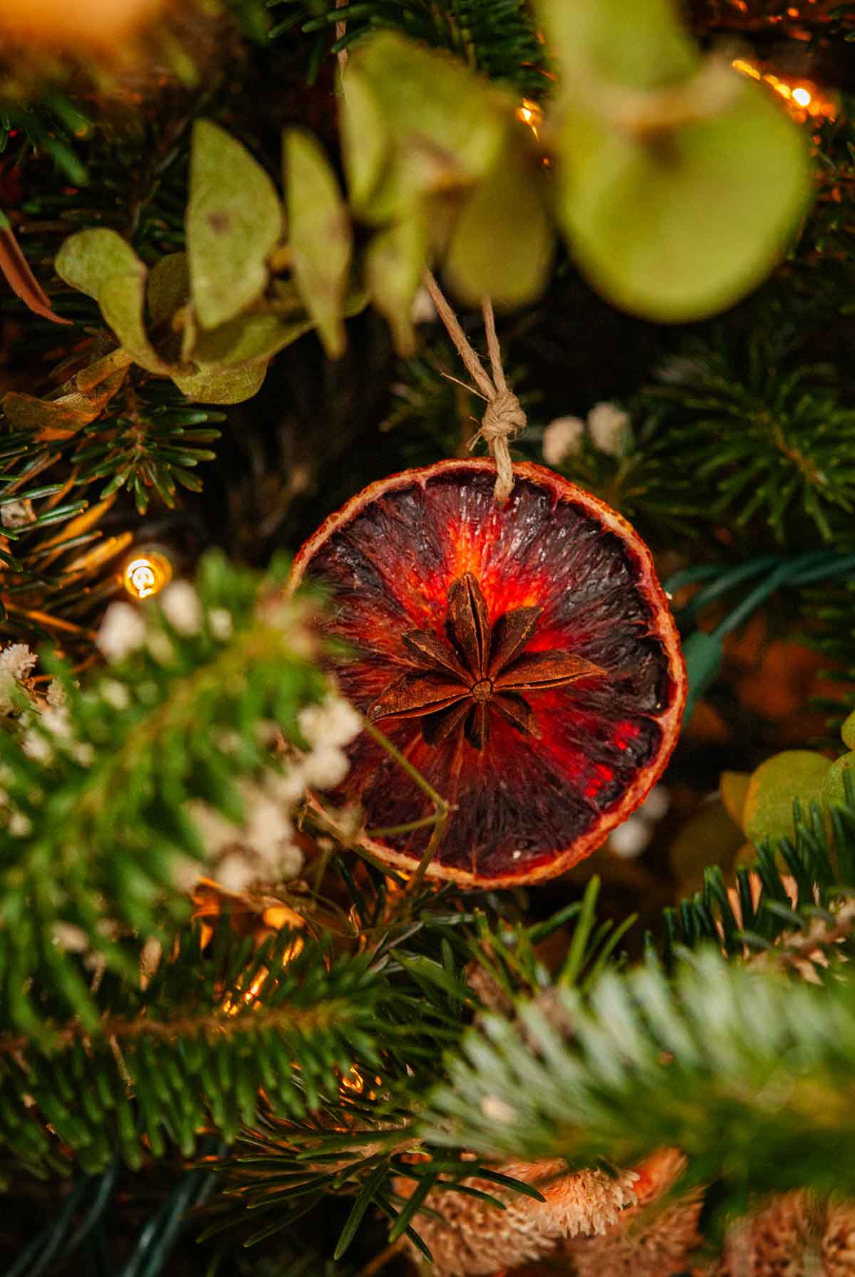 Christmas Tree Wood Decorative Oranges Christmas Tree Decorations Dried  Oranges Christmas Tree With Oranges, Orange Christmas