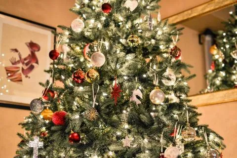 Christmas Trees: Green Options for this Classic Holiday Tradition | Green America