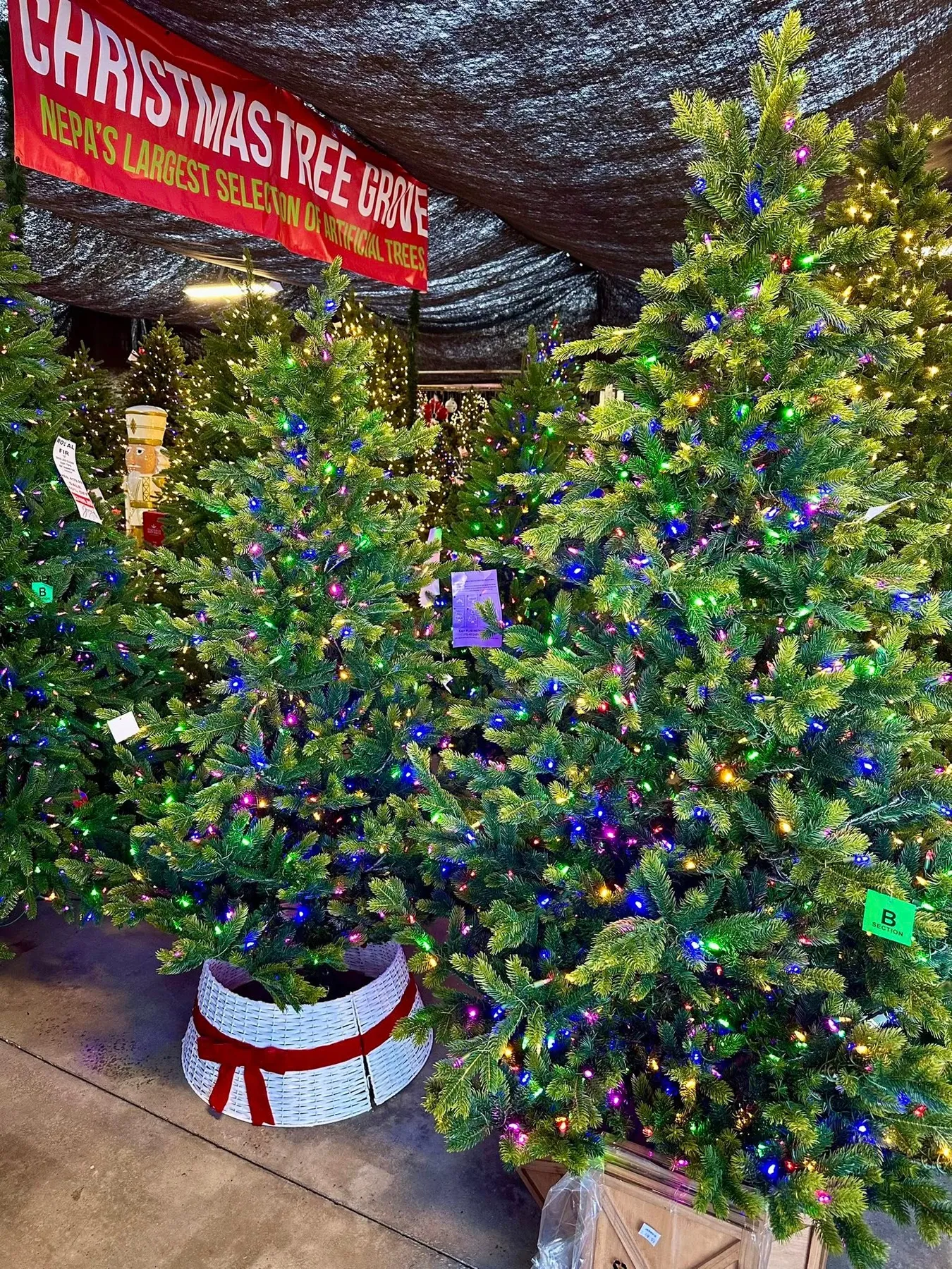 Christmas Wonderland | Indoor & Outdoor Christmas Decorations