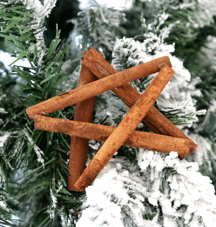 CINNAMON ORNAMENTS - Home