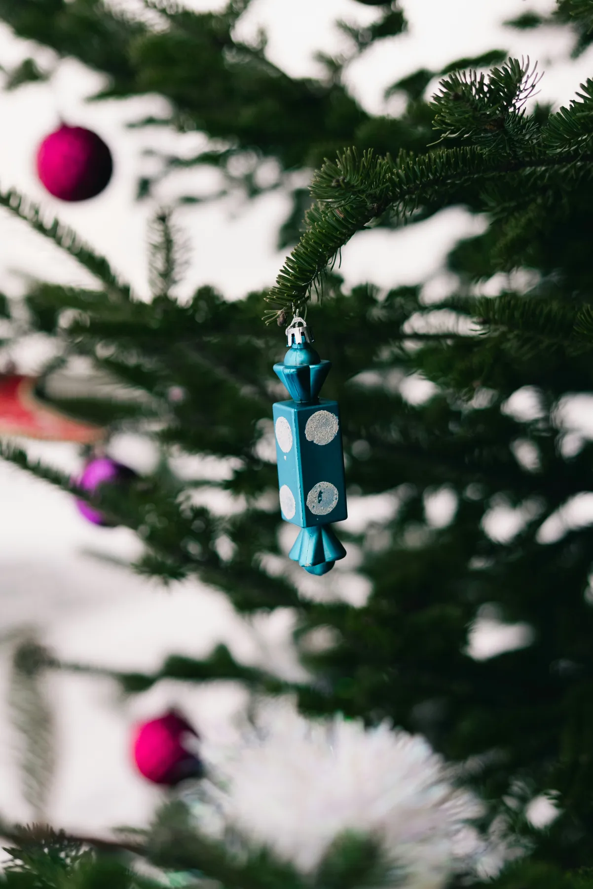Close-up of a blue candy ornament on a christmas tree