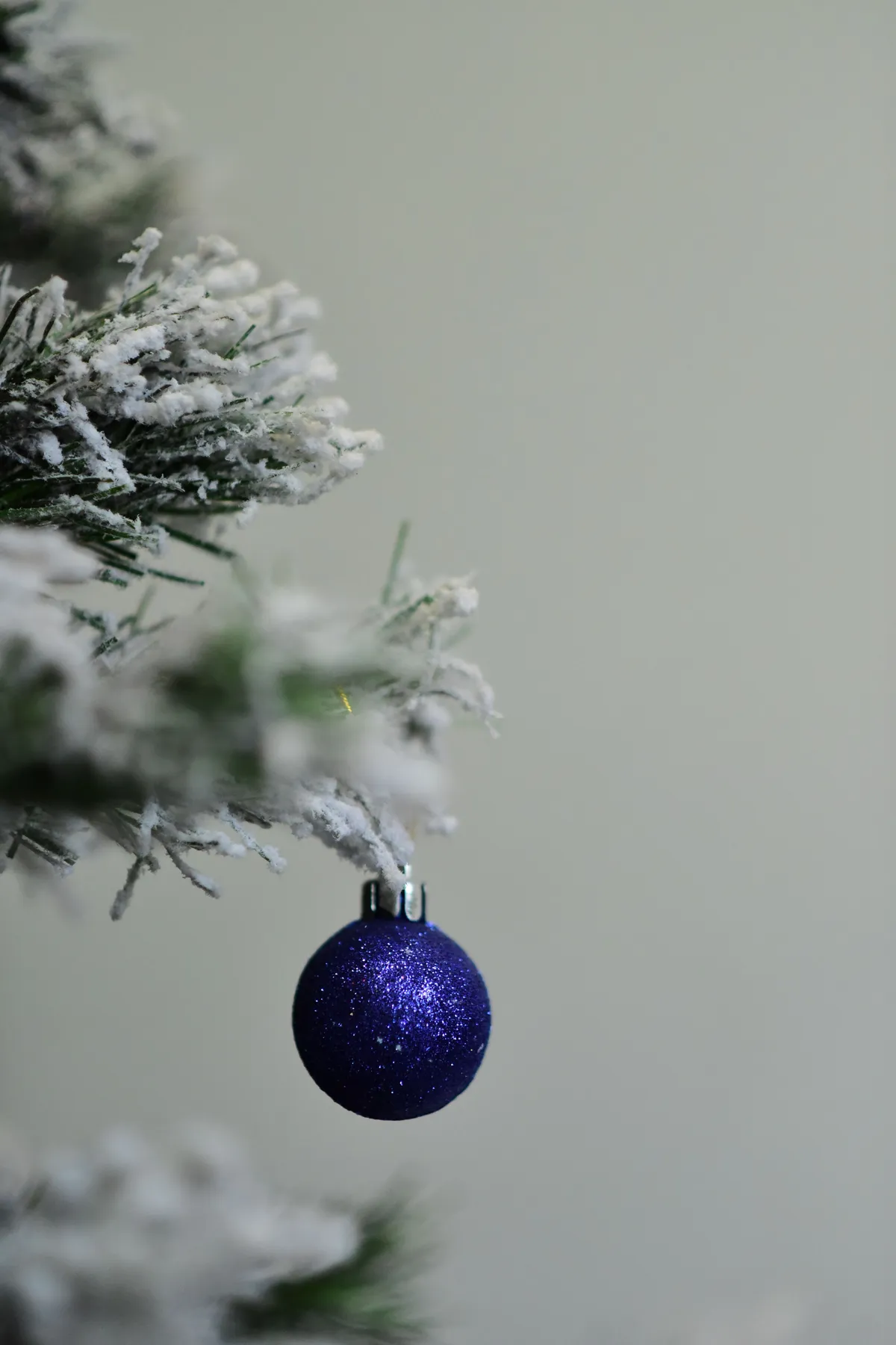 Close-up of a snow-covered Christmas tree branch with a sparkling blue ornament.